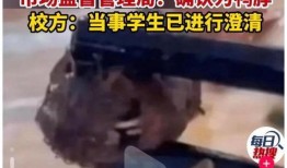 吃出老鼠头的爆料视频,吃出老鼠头，食品安全再引关注