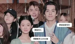 娱乐圈最新道歉爆料,明星集体道歉，真相背后引热议